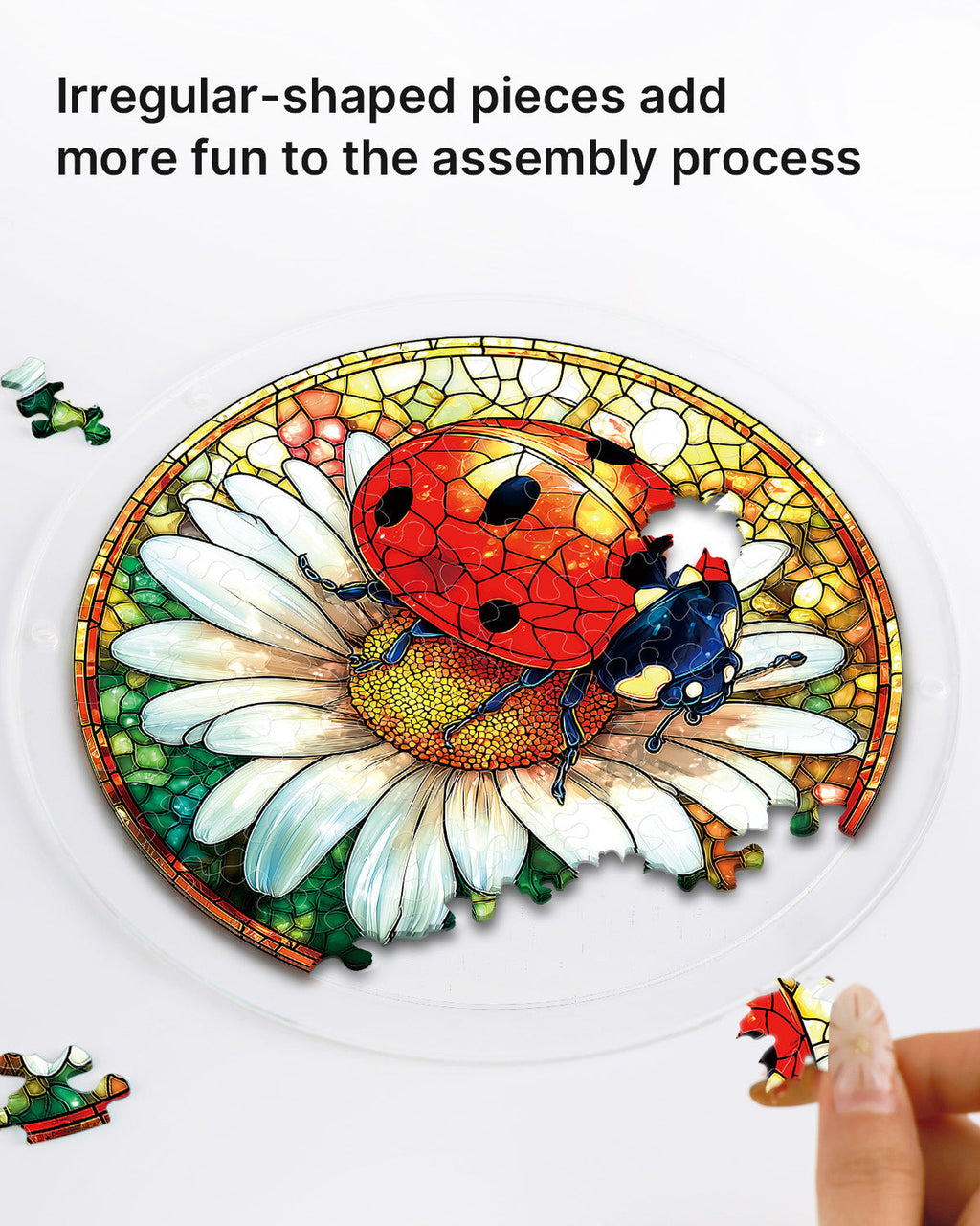 Ladybug on Daisy Light Suncatcher-Acrylic Window Art