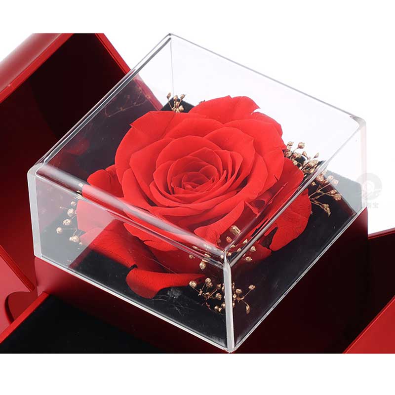 An meine Liebe Konservierte Rose & Halsketten-Set