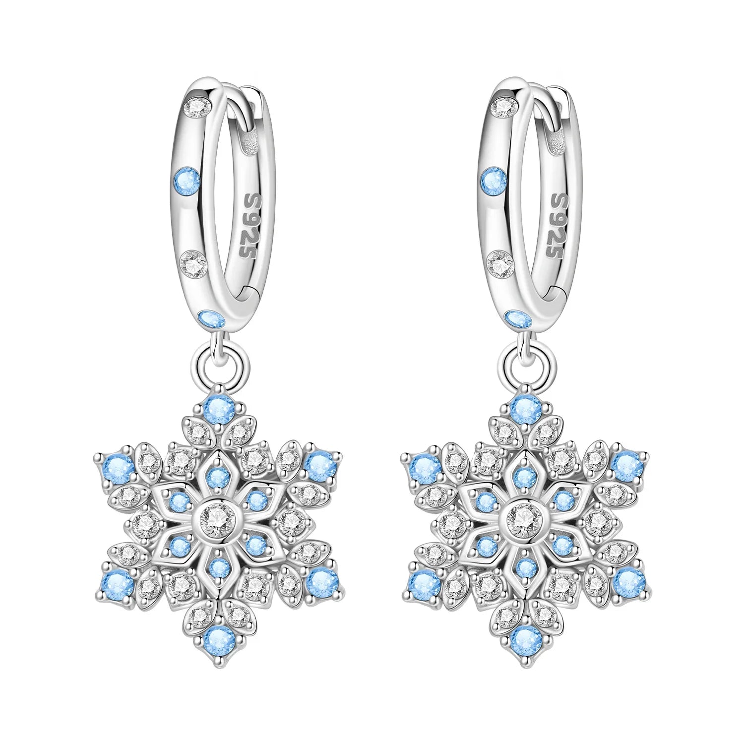 Charm Earrings
